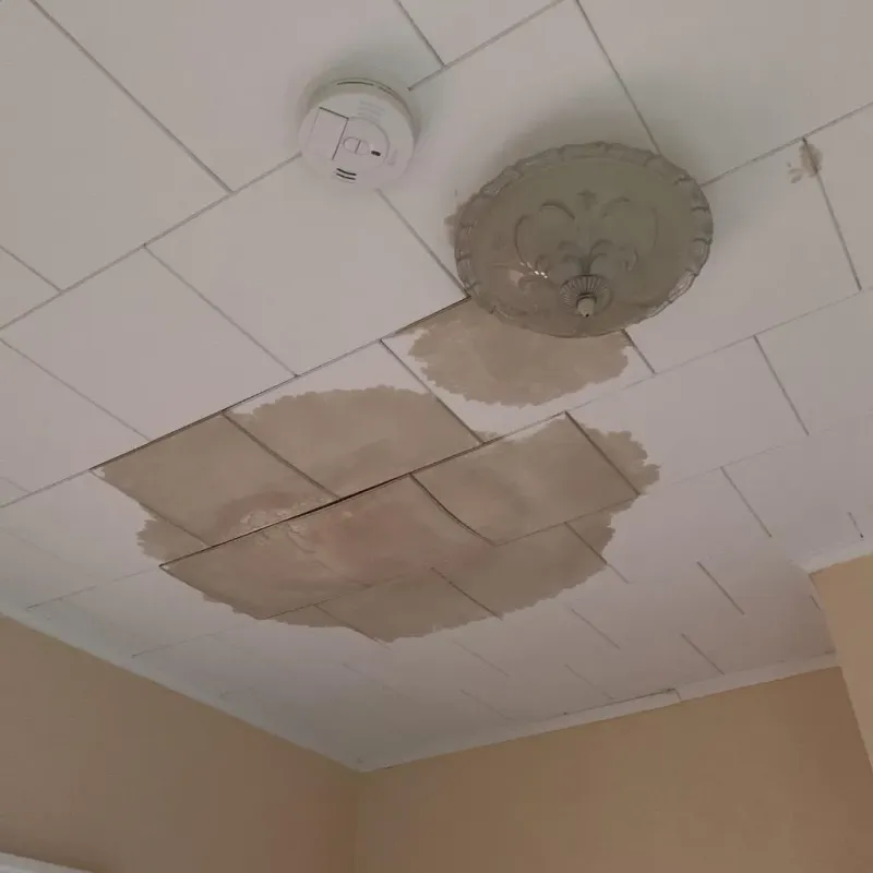 Ceiling Water Damage Repair in Mountain Lake, MN