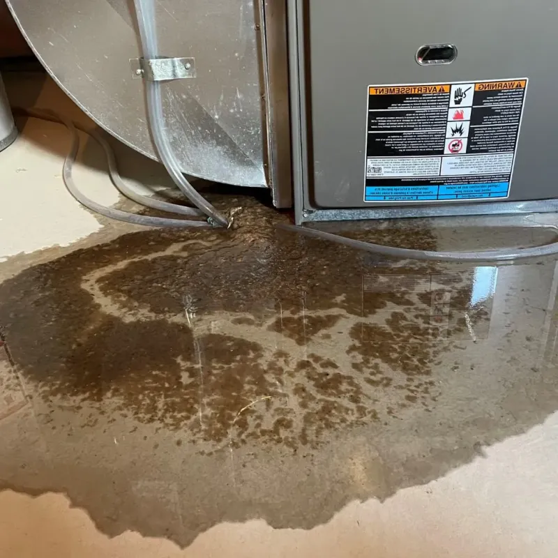 Pipe Burst and Leak Restoration in Mountain Lake, MN