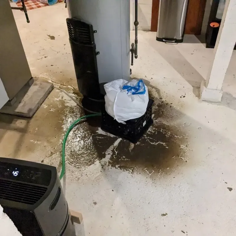 Sewage Backup Cleanup Service in Mountain Lake, MN